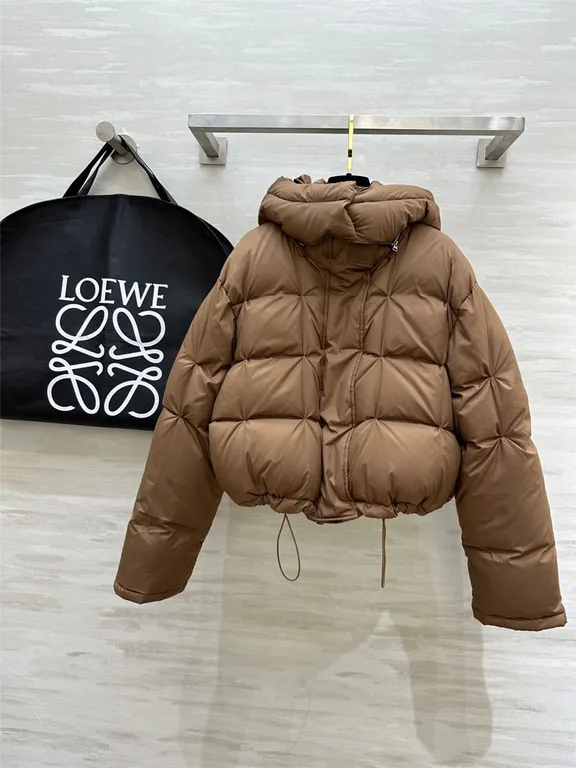 Loewe hooded down jacket